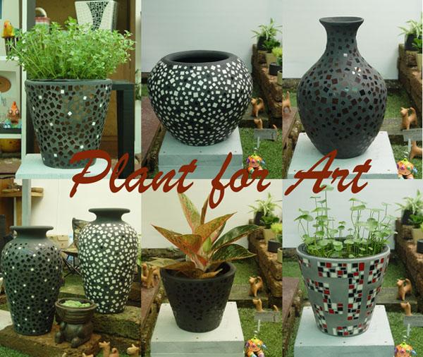 กระถางทรงต่างๆ | ร้าน plant for Art - ธนบุรี กรุงเทพมหานคร