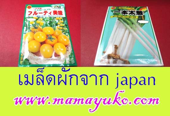 เมล็ดผัก จากประเทศญี่ปุ่น ราคาพิเศษ ซื้อ 10 ถุง แถม 1 ถุง ค๊ | MamaYuko - บางรัก กรุงเทพมหานคร