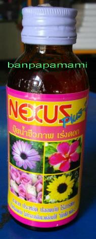 ปุ๋ยน้ำ เร่งดอก สี nexus