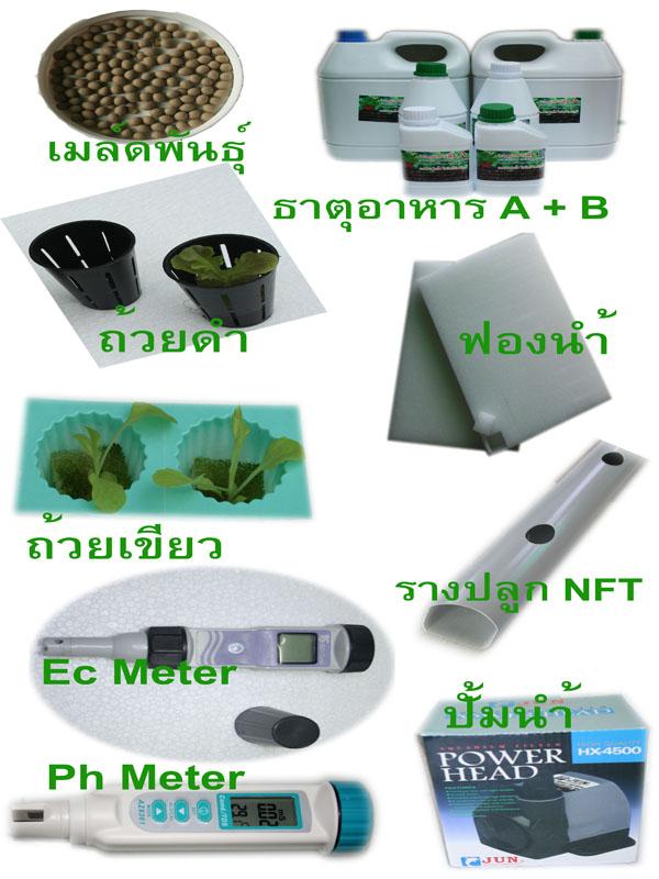 อุปกรณ์ปลูกผักไฮโดรโพนิกส์ (พืชไร้ดิน) | ก.ชนาผักไฮโดรโพนิกส์ - คลองหลวง ปทุมธานี