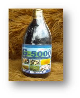 จี-5000 | เจ้าพระยาการเกษตร - วัดสิงห์ ชัยนาท