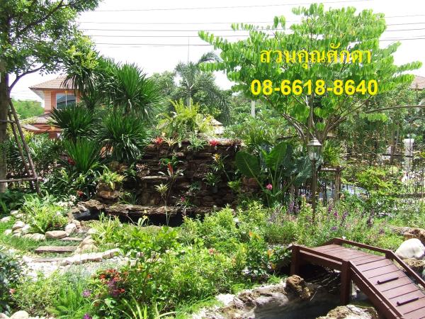รับจัดสวน | สวนคุณศักดา - บางบัวทอง นนทบุรี