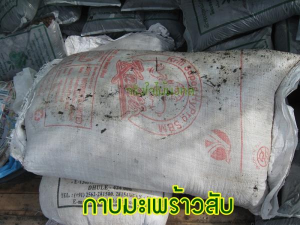 ขายกาบและขุยมะพร้าวสับ | จริงใจไม้มงคล แอนด์ แลนด์สเคป - ลำลูกกา ปทุมธานี