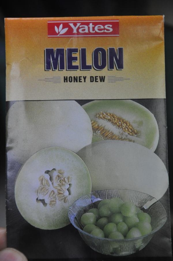 แคนตาลูป Honey DEW | เพื่อนเกษตร - ฝาง เชียงใหม่