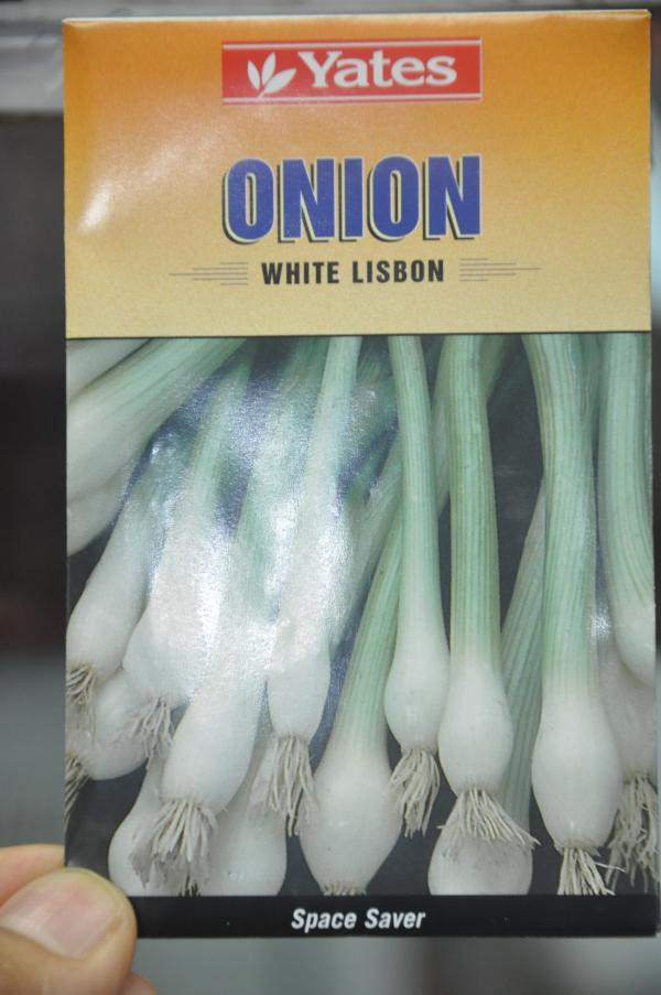 ต้นหอมฝรั่ง Onion White Lisbon | เพื่อนเกษตร - ฝาง เชียงใหม่