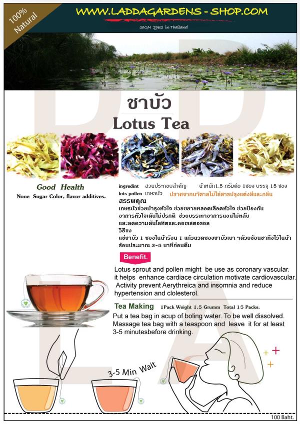 ชาบัว  lotus tea | laddagarden - ลาดหลุมแก้ว ปทุมธานี
