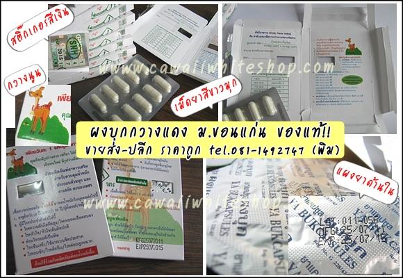 ขายส่งผงบุก กวางแดง ม.ขอนแก่น ของแท้ | cawaiiwhiteshop - บางพลัด กรุงเทพมหานคร