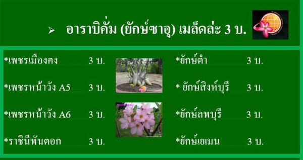 เมล็ดชวนชม2 | สวนแก้ววิชิต - ดอนเมือง กรุงเทพมหานคร