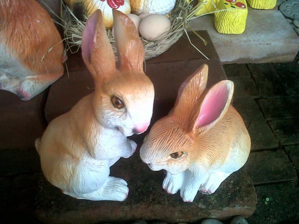 กระต่ายน้อยคู่รัก | สวนพบพลอย - คลองสามวา กรุงเทพมหานคร