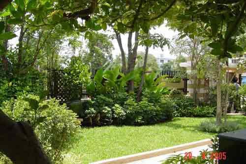 รับจัดสวน | สวนนายเบนซ์ - บางละมุง ชลบุรี
