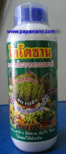 ไคโตซานเข้มข้น 100% ขนาดบรรจุ 1 ลิตร | บ้านป่าป๊า & หม่ามี๊ - บางบัวทอง นนทบุรี