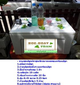 ถาดปลูกผักไฮโดรโปรนิกส์ | สวนผักปลอดสารพิษBoe&Boat -  ภูเก็ต