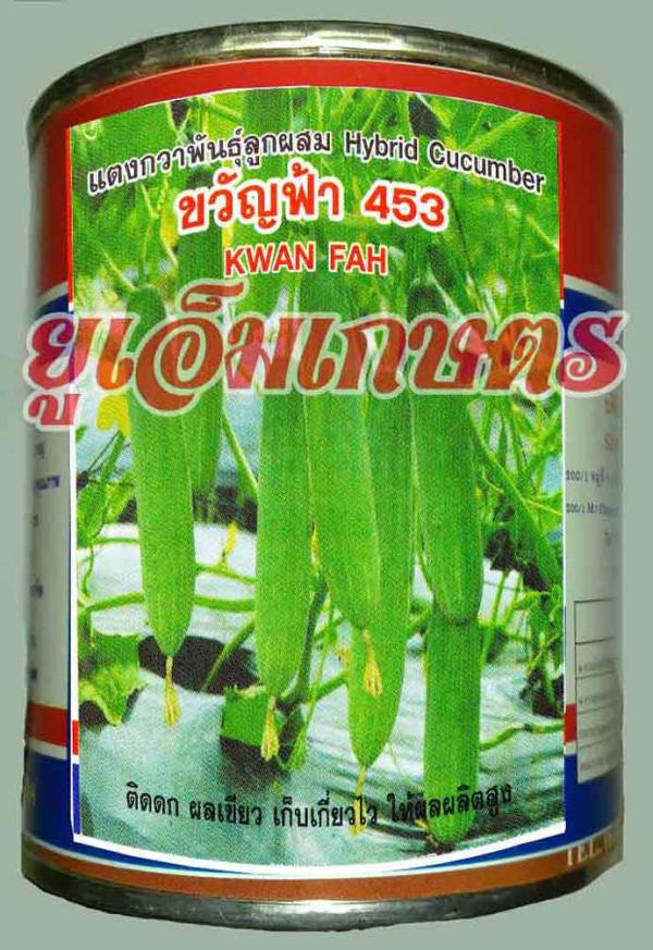 แตงกวา-ขวัญฟ้า-453