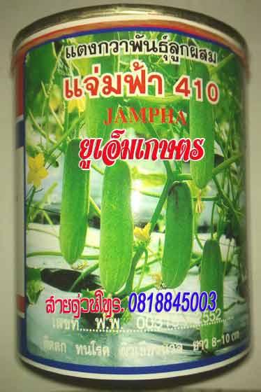 แตงกวาแจ่มฟ้า-410 | umkaset - เมืองลำพูน ลำพูน