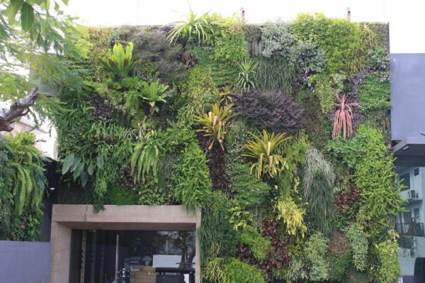 Vertical Garden | GreenTech - บางกรวย นนทบุรี