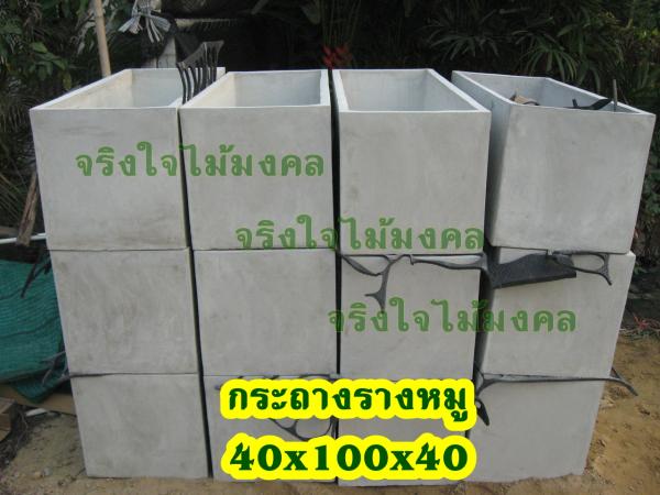 ขายกระถางรางหมูขนาด 40x100x40 | จริงใจไม้มงคล แอนด์ แลนด์สเคป - ลำลูกกา ปทุมธานี