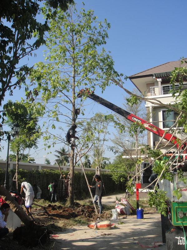 พยอม10" | สวนทวี - เมืองปราจีนบุรี ปราจีนบุรี