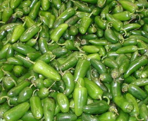 พริก ฮาลาพิโน Jalape?o Peppers | seeds etc. -  กรุงเทพมหานคร