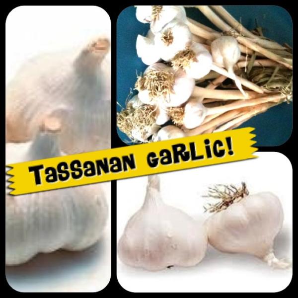 กระเทียมถูกที่สุดมีหลายขนาคสอบถามได้น่ะค | Tassanan Garlic - ตลิ่งชัน กรุงเทพมหานคร