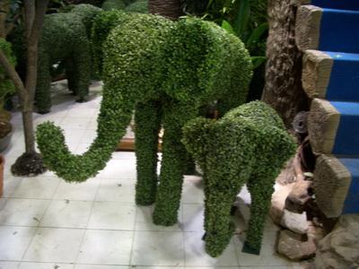 ช้างประดิษฐ์ | แพทริเซีย ฟรอริสท์ - พระโขนง กรุงเทพมหานคร