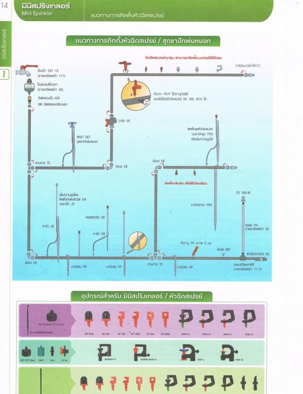 แนวทางการติดตั้ง มินิสปริงเกลอร์