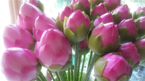 ดอกไม้ประดิษฐ์จากดินไทย(บัวหลวง) | ป้าอร การ์เด้น  - ชัยบาดาล ลพบุรี