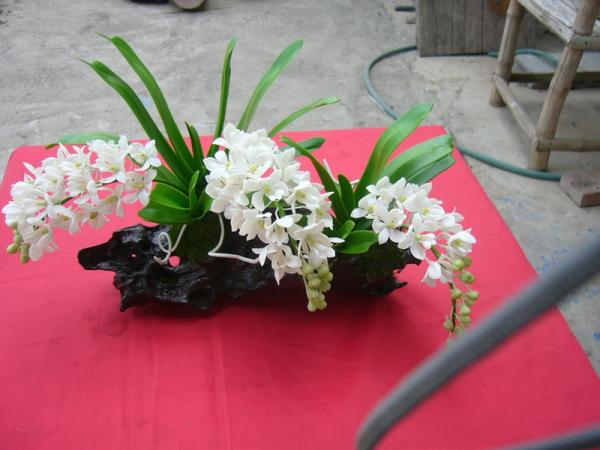 ดอกไม้ประดิษฐ์จากดิน(กล้วยไม้ช้างเผือก) | ป้าอร การ์เด้น  - ชัยบาดาล ลพบุรี