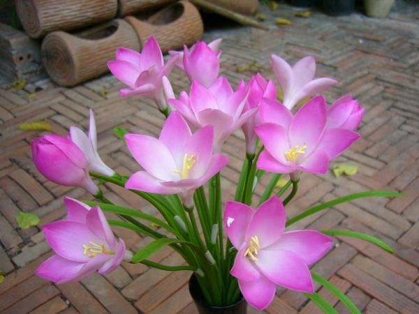 ดอกไม้ประดิษฐ์จากดินไทย(บัวดิน)