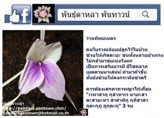 ว่านทิพเนตร | พันธุ์ดาหลา - เมืองเชียงใหม่ เชียงใหม่