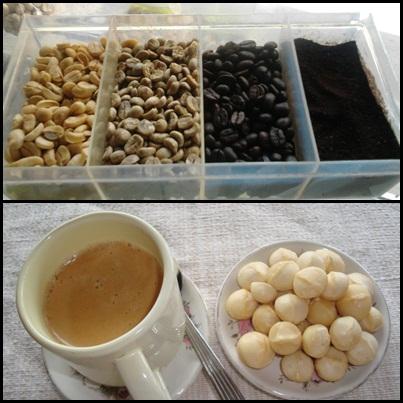 กาแฟอาราบิก้าแท้ 100% จากแม่แจ๋ม | Maejam Coffee house - เมืองปาน ลำปาง