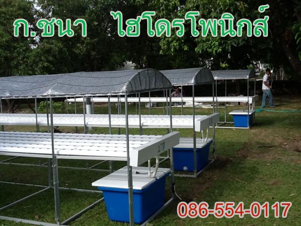 โต๊ะปลูกเพื่อธุรกิจขนาดย่อม 6 เมตร 6ราง | ก.ชนาผักไฮโดรโพนิกส์ - คลองหลวง ปทุมธานี