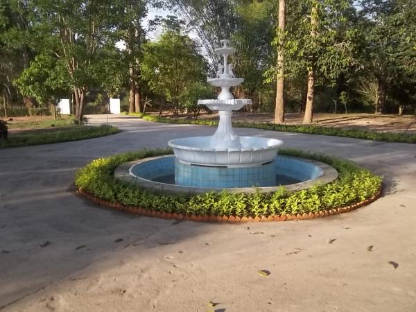 สวนหย่อม | สวนสุวิทย์พันธุ์ไม้ - เมืองอุบลราชธานี อุบลราชธานี