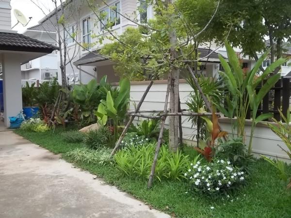 จัดสวน | สวนสุวิทย์พันธุ์ไม้ - เมืองอุบลราชธานี อุบลราชธานี