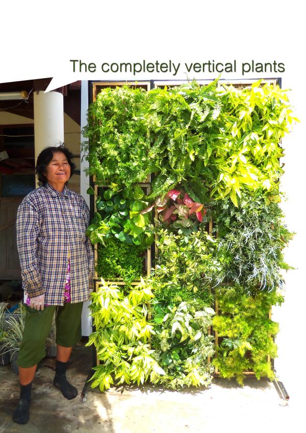 กำแพงธรรมชาติสำเร็จรูป  wall  plants 