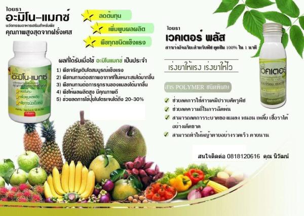 โปรโมชั่น แนะนำสินค้า นะครับจัดเซ็ตคู่ | นิวัฒน์ -  กรุงเทพมหานคร