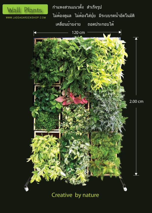 สวนแนวตั้งสำเร็จรูป พร้อมระบบรดน้ำอัตโนมัติ | laddagarden - ลาดหลุมแก้ว ปทุมธานี