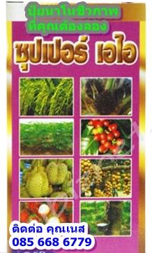 ปุ๋ยน้ำ,สารเสริมอาหารพืช ซุปเปอร์เอไอ 500 cc | JB BIO ORGANIC FARM - สวนหลวง กรุงเทพมหานคร