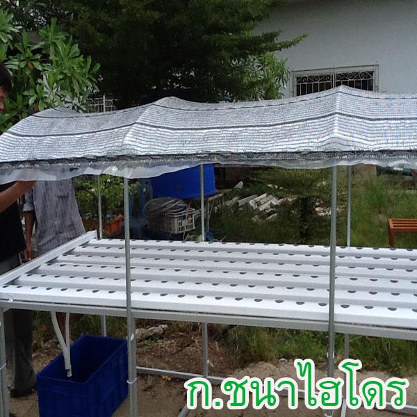 3 เมตร 6 รางปลูก  | ก.ชนาผักไฮโดรโพนิกส์ - คลองหลวง ปทุมธานี