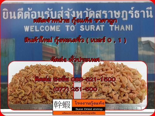 ขายกุ้งแห้ง ( สินค้ามาใหม่ )  | โรงงานกุ้งแห้ง - ดอนสัก สุราษฎร์ธานี