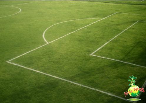 รับปู-ติดตั้ง สนามฟุตบอลหญ้าจริง