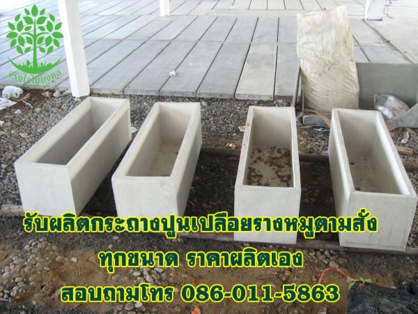 รับผลิตกระถางปูนเปลือยรางหมูตามสั่ง | จริงใจไม้มงคล แอนด์ แลนด์สเคป - ลำลูกกา ปทุมธานี