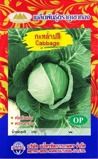 เมล็ดพันธุ์ กะหล่ำปลี  | onlineseed - ภาษีเจริญ กรุงเทพมหานคร