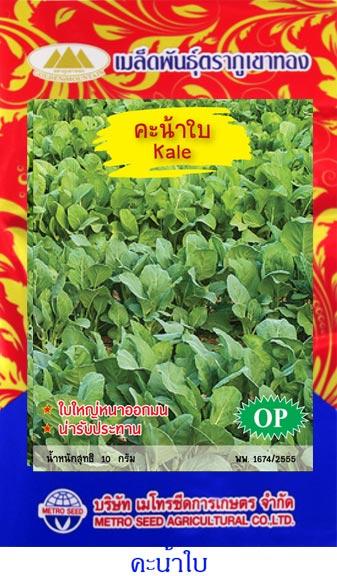 เมล็ดพันธุ์ คะน้าใบ  | onlineseed - ภาษีเจริญ กรุงเทพมหานคร