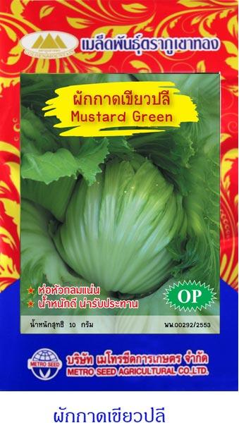 เมล็ดพันธุ์ ผักกาดเขียวปี | onlineseed - ภาษีเจริญ กรุงเทพมหานคร