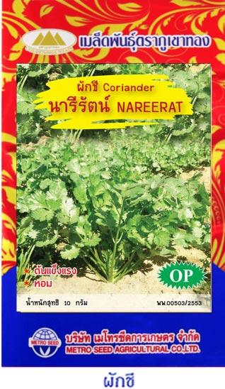 เมล็ดพันธุ์ ผักชี | onlineseed - ภาษีเจริญ กรุงเทพมหานคร