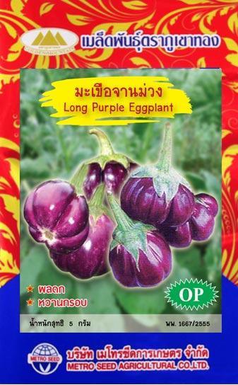 เมล็ดพันธุ์ มะเขือม่วงจาน | onlineseed - ภาษีเจริญ กรุงเทพมหานคร