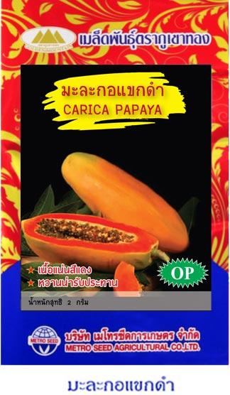 เมล็ดพันธุ์ มะละกอ | onlineseed - ภาษีเจริญ กรุงเทพมหานคร