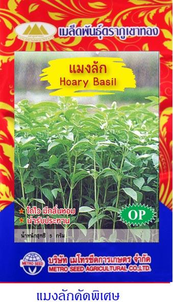 เมล็ดพันธุ์ แมงลัก | onlineseed - ภาษีเจริญ กรุงเทพมหานคร