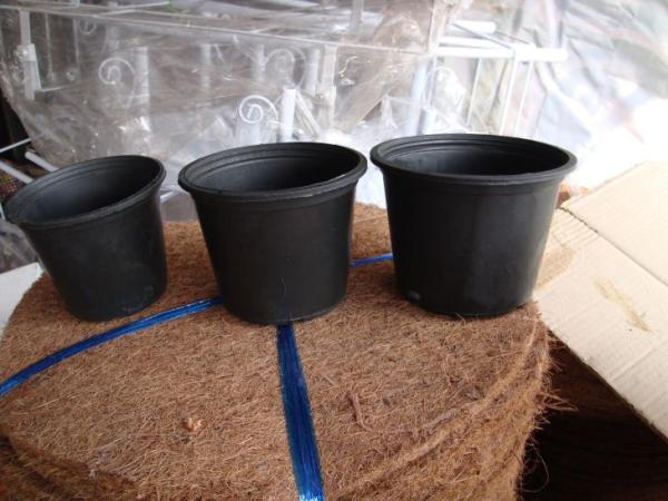 กระถางพลาสติกดำ (black plastic pot) | ร้านวรพงษ์ -  กรุงเทพมหานคร