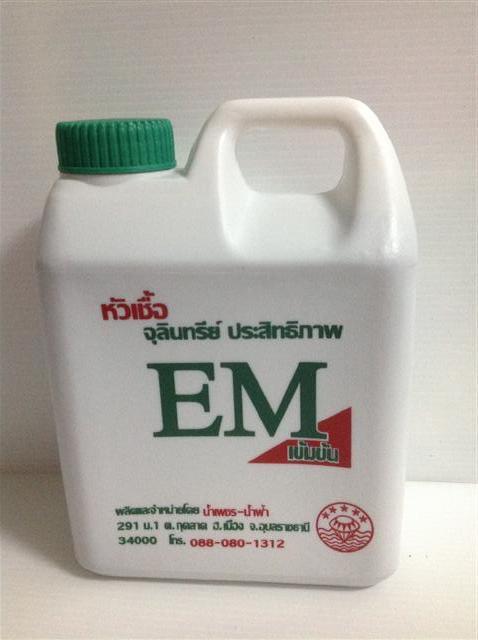 EM | ชัยดีเมล็คพันธุ์ผัก -  สระบุรี